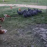 La Malinerie Nyaraló *