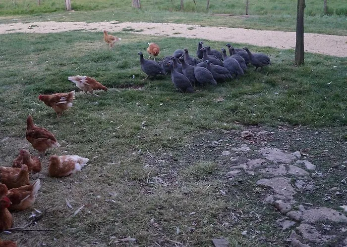 La Malinerie بيت للعطل *