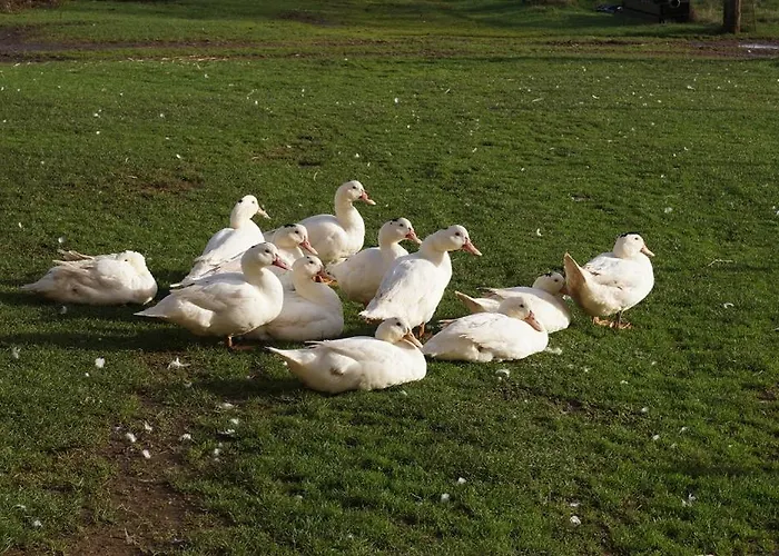 La Malinerie بيت للعطل